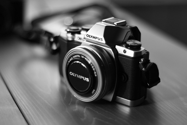 camera autofocus points over a subject face