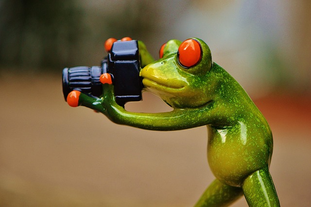 photographer reviewing images and metadata on laptop